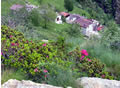 Rifugio